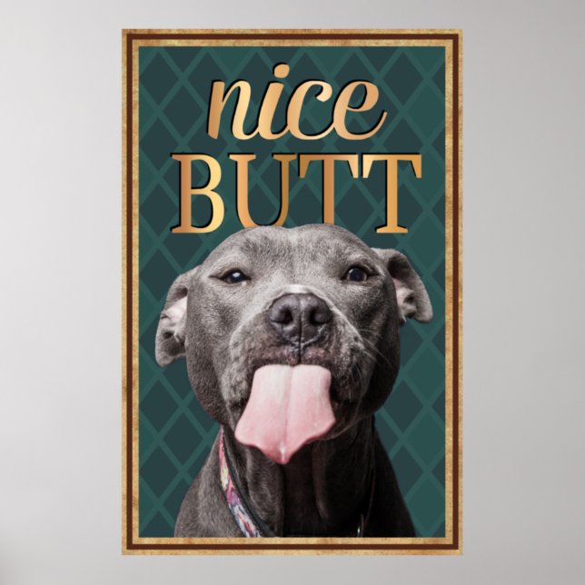 Poster Engraçado Cachorro Belo Bumbum Bathroom Wall Art (Frente)