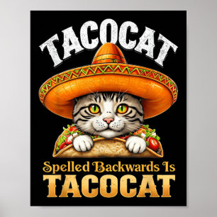 Poster Engraçado Cinco De Mayo Tacocat Ortografou Para Tr
