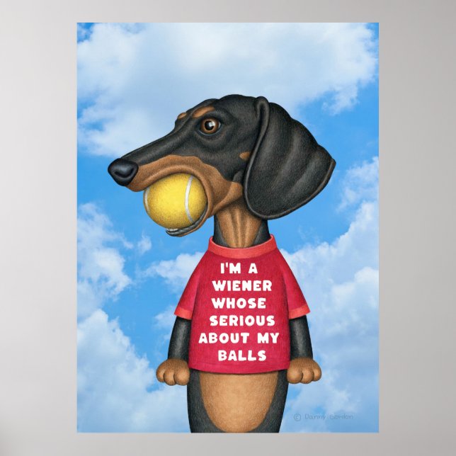 Poster Engraçado Dachshund com Tênis Bola na Boca (Frente)