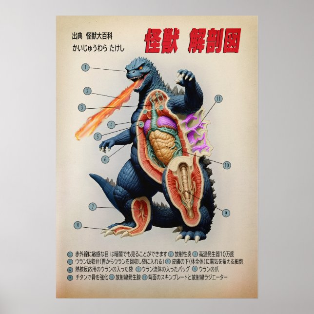 Poster Engraçado diagrama de anatomia japonês Kaiju (Frente)