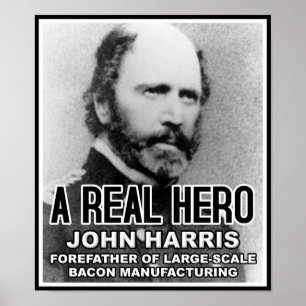 Poster engraçado do herói do bacon de John Harri