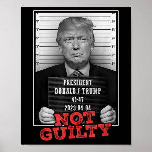 Poster Engraçado Donald Trump Não É Culpado, Tiro, Grátis