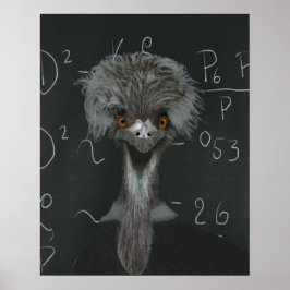 Poster Engraçado Emu Einstein