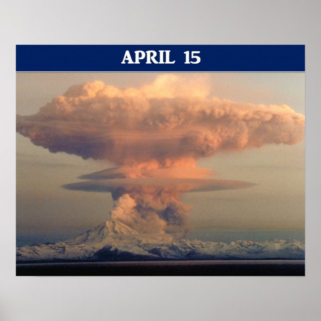 Pôster Engraçado Execução do Dia do Imposto Para Cobrir (Frente)