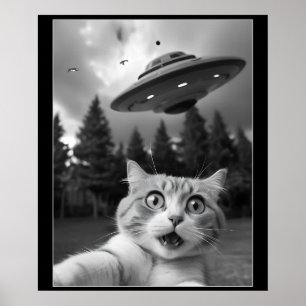Poster Engraçado Gato Selfie com Óvni Alienígena Drones