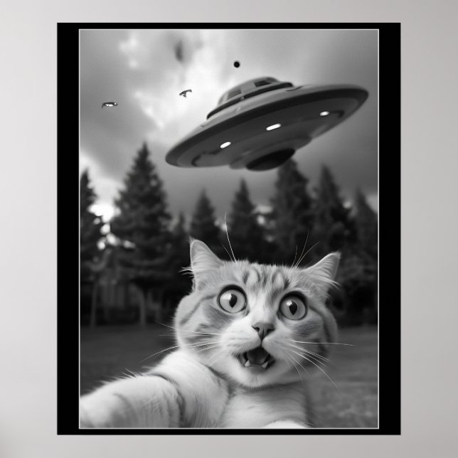 Poster Engraçado Gato Selfie com Óvni Alienígena Drones (Frente)