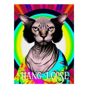 Pôster Engraçado Hippie Sphynx Cat