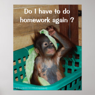 Poster Engraçado Homework com Baby Orangutan