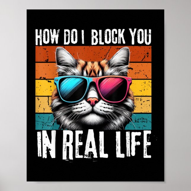 Poster Engraçado Introdução Gato Como Bloqueio Seu Gato R (Frente)