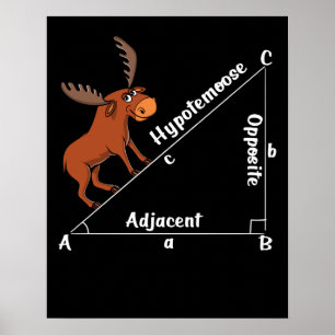 Poster Engraçado Matemática Hipotemose Geometria Mose Pia