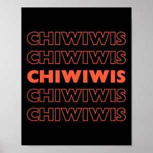 Poster Engraçado mexicano Latino Chicano Cinco De Mayo Ch