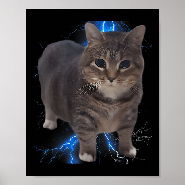 Poster Engraçado Oiia Oiia Girando Gato Memória Cat Brain (Frente)