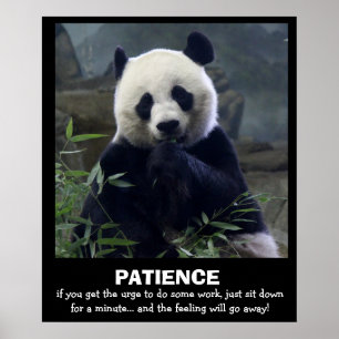 Pôster Engraçado Panda Poster, PACIÊNCIA