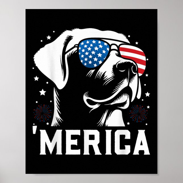 Poster Engraçado Patriótico Labrador Retriever Merica Hap (Frente)