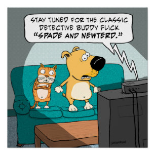 Pôster Engraçado Poster de Gato e Cachorro