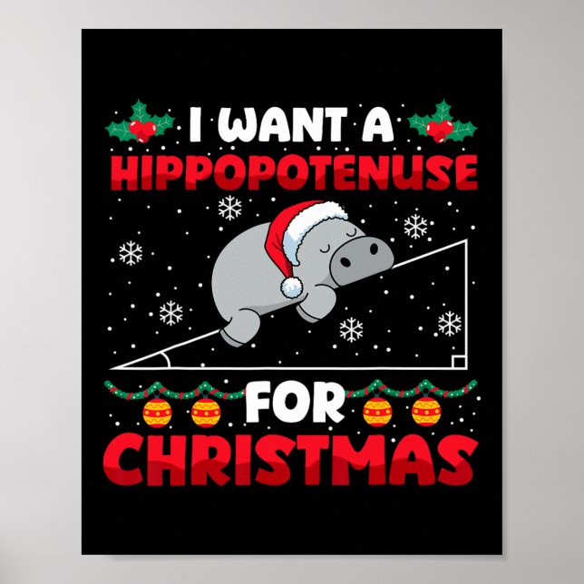Poster Engraçado Professor de Matemática de Natal Hippopo (Frente)