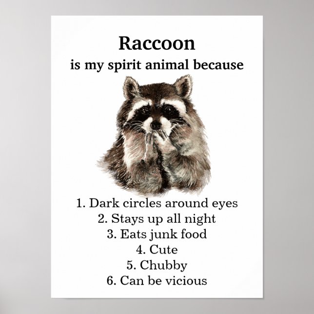 Poster Engraçado Raccoon Spirit Humor (Frente)
