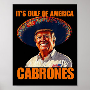 Poster Engraçado Seu Golfo Da América Americana Cabrones