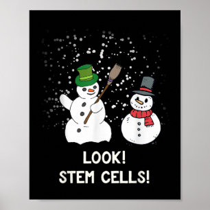 Poster Engraçado Snowman Natal Ciência Xmas Neve Biológic