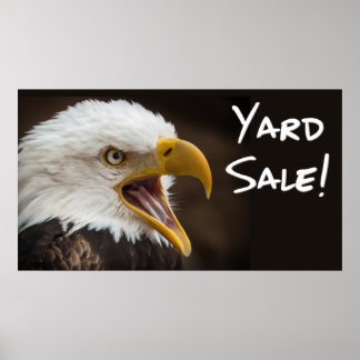 Poster Engraçados memes de águia com imagens engraçadas