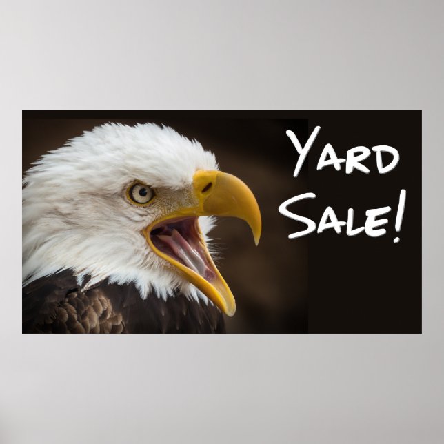 Poster Engraçados memes de águia com imagens engraçadas (Frente)