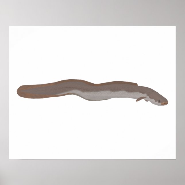 Poster Enguia Atalhante do Sul (Frente)