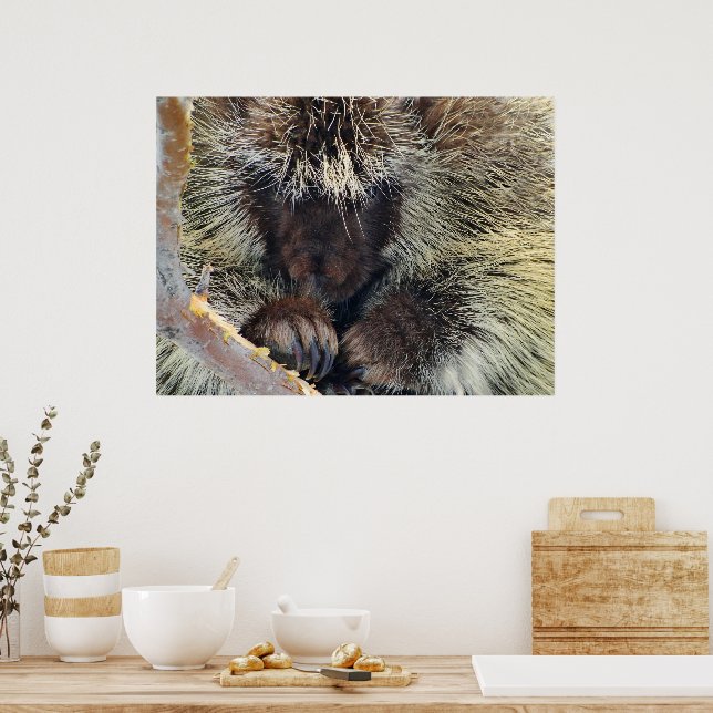 Pôster Enigma da Natureza (Cozinha)