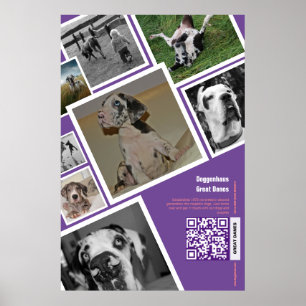 Poster Enorme cachorro à venda