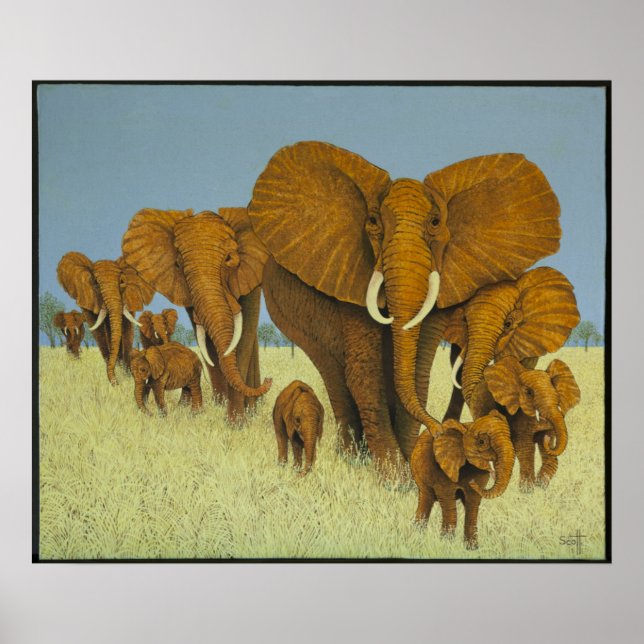 Pôster Enorme, mas cuidando (Frente)