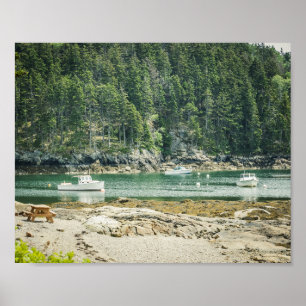 Poster Enseada na Praia Costeira do Maine e Barcos 8x10