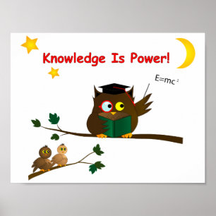 Poster Ensinando Wise Owl
