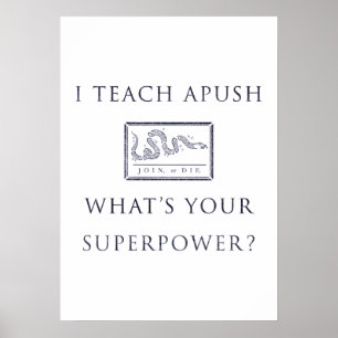 Pôster Ensino História de AP (APUSH)