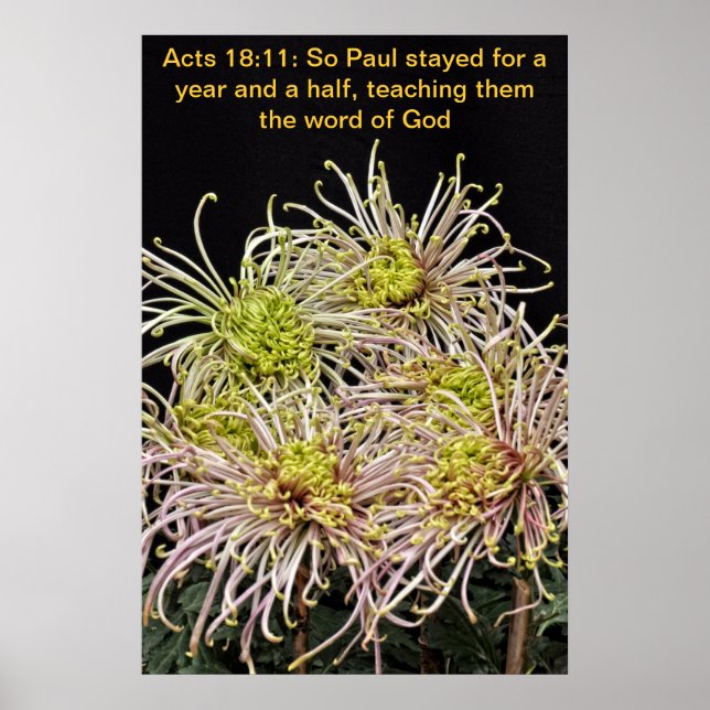 Pôster Então Paul ficou por um ano e meio (Frente)