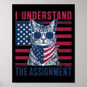 Poster Entenda A Ignmância Kamala Harris Sem Filhos Gata