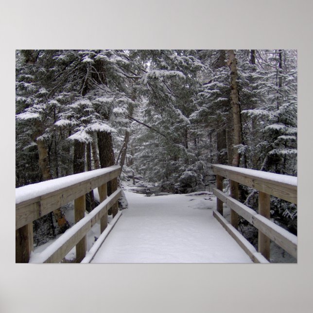 Pôster Enter - Nova Cena de Neve de Hampshire (Frente)