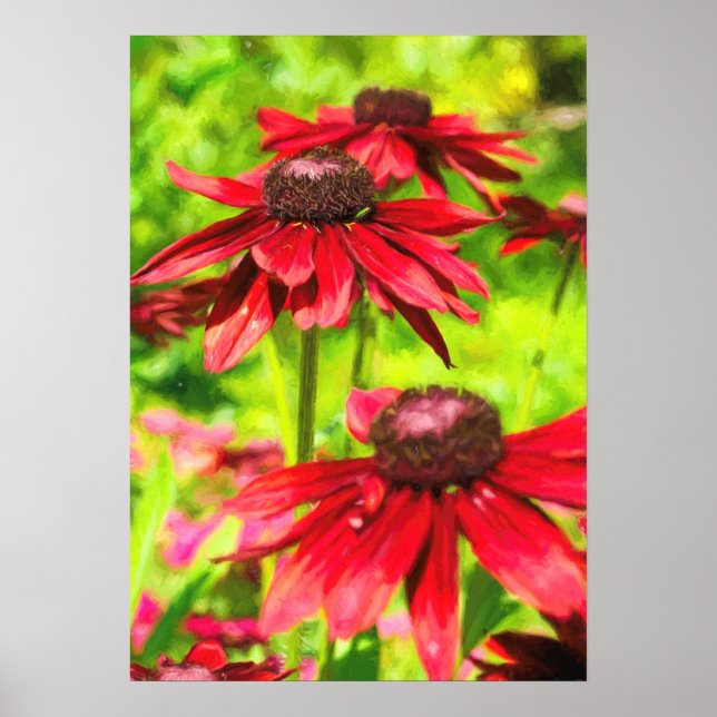 Poster Entre As Flores (Frente)
