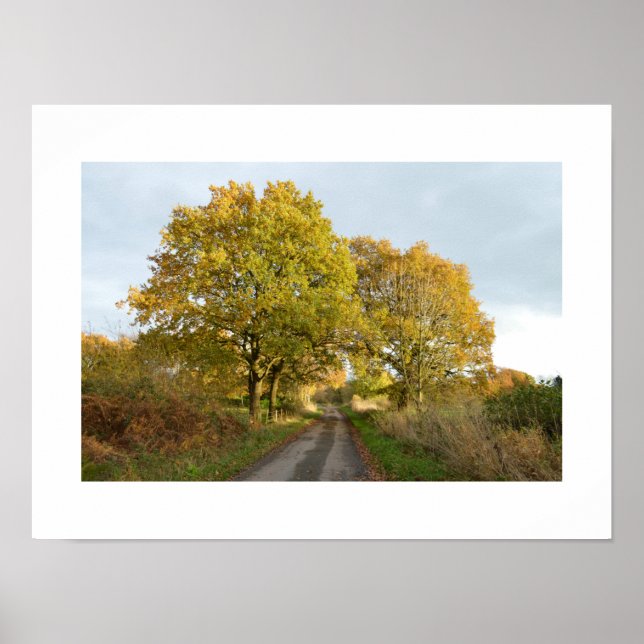 Poster Entre os Oaks: Rural Cheshire (Frente)