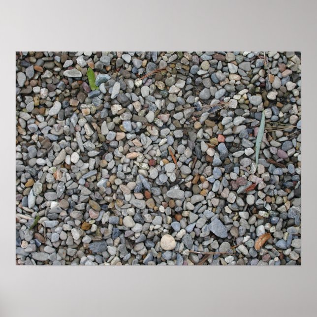 Pôster Entropia (Frente)