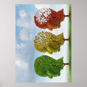 Poster Envelhecimento do cérebro