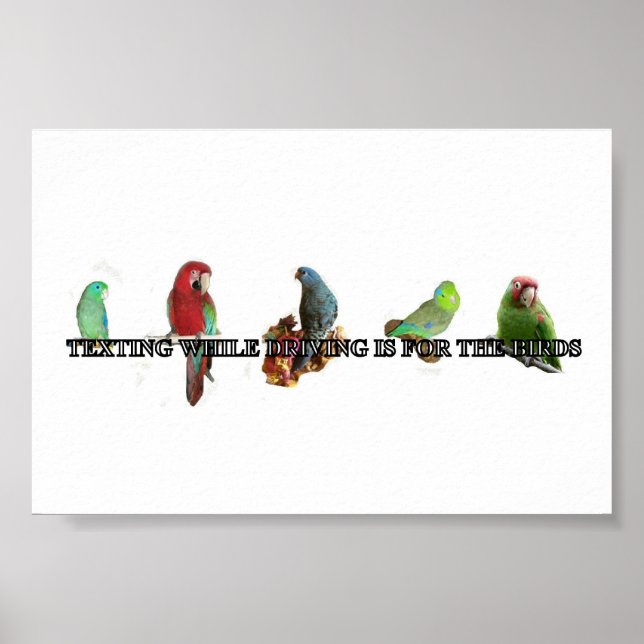 Pôster Enviando mensagens de texto durante a condução de  (Frente)