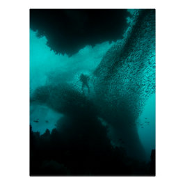 Pôster Enxame do Fundo – Oceano de Divers e Cardume