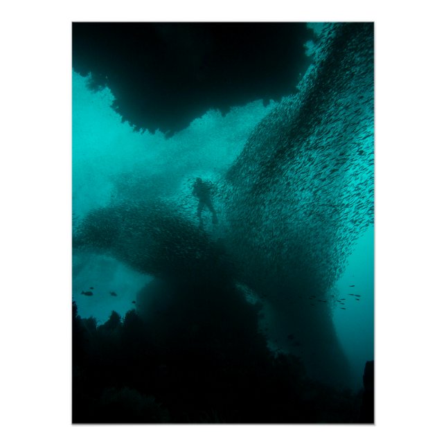 Pôster Enxame do Fundo – Oceano de Divers e Cardume (Frente)