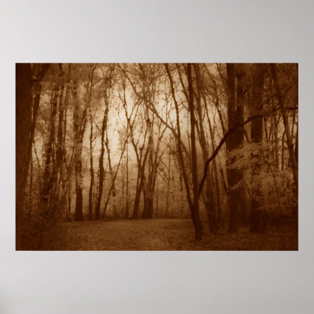 Poster Enxertar (Frente)