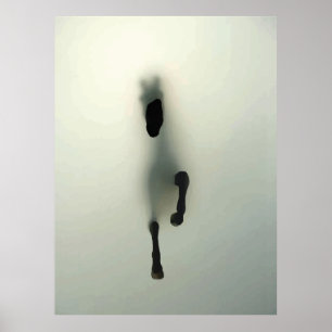 Poster Equina A Partir Do Nevoeiro