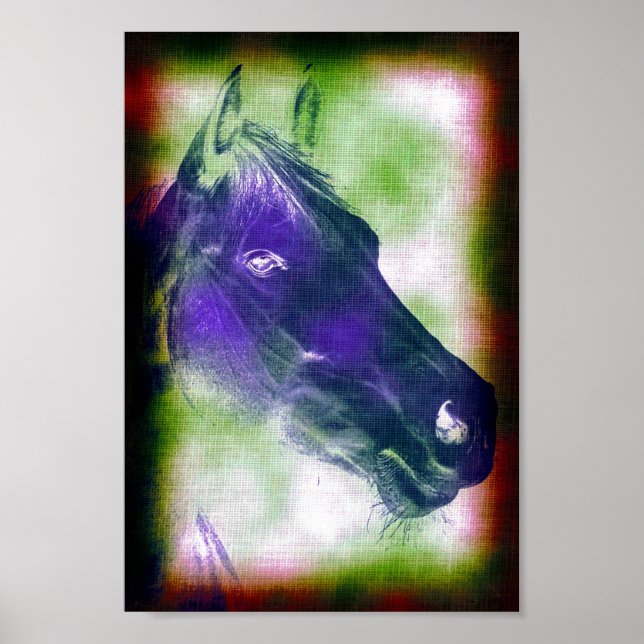 Poster Equino 3 (Frente)