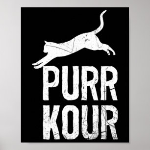 Poster Equipamento de Parkour para Gatos Engraçados Salta