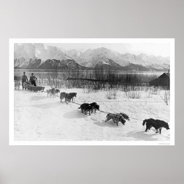 Poster Equipe de cães roucos Alaska 1918 (Frente)