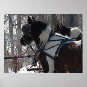 Pôster Equipe de Rascunho de Pinto