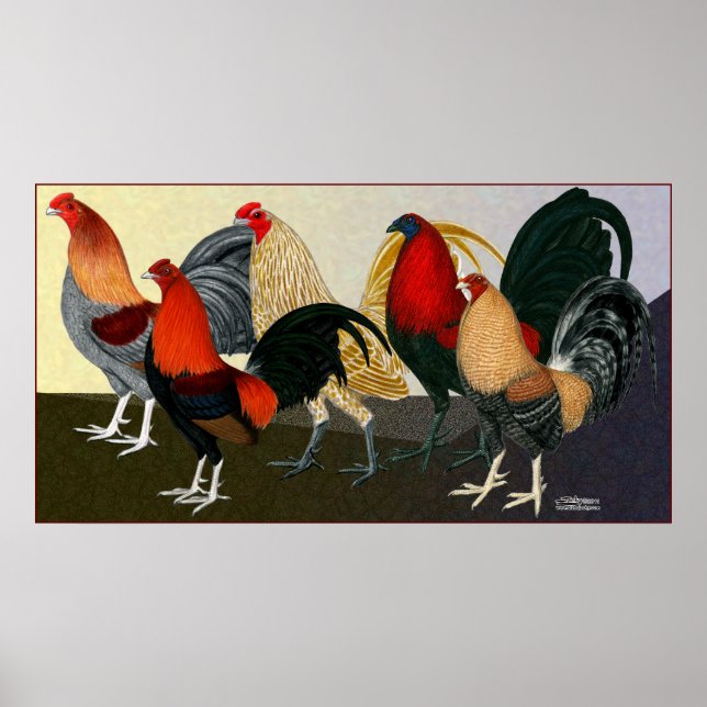 Pôster Equipe de Sonhos de Rooster (Frente)