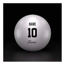 Equipe de Voleibol